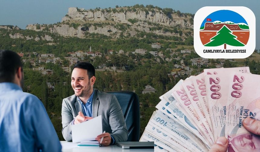 Ehliyet ve Sertifika Sahipleri! Çamlıyayla Belediyesi Personel Arıyor