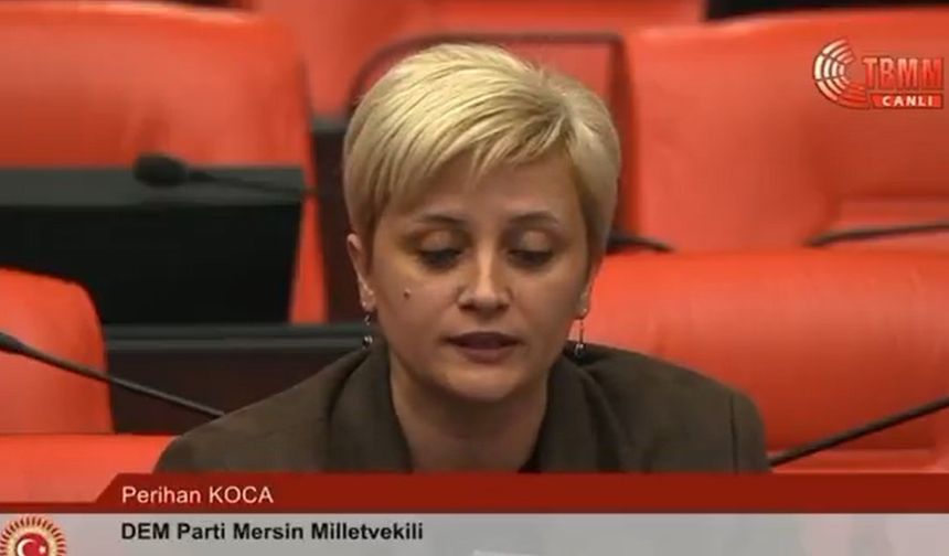 Mersinli Vekilden Gazeteci Cinayetine Tepki
