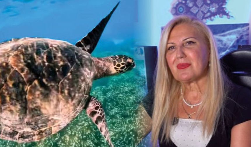 Prof. Dr. Ergene’den Deniz Kaplumbağaları Uyarısı