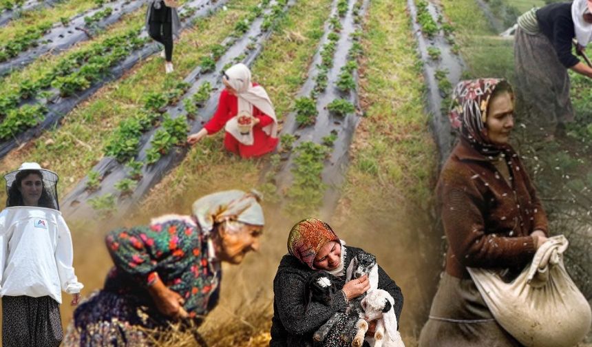 Toprağın Kadınları Mersin’de Buluştu