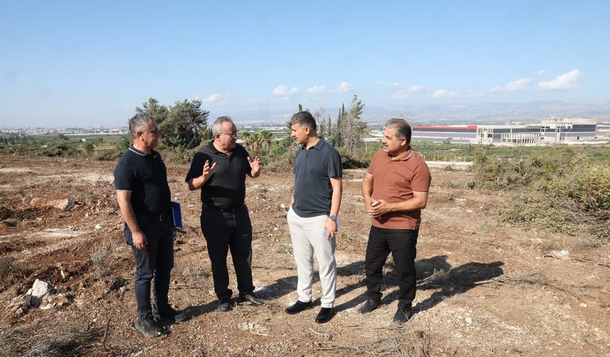 Akdeniz’de Sokak Hayvanları İçin Doğal Yaşam Alanı İnşasına Başlandı