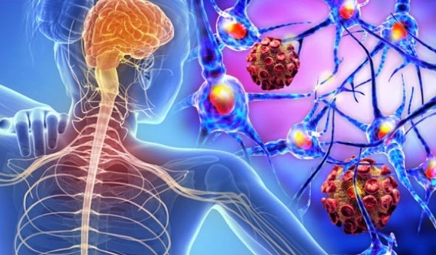 Sadece Beş Duyu Yetmez: İnsan Vücudunun Gizli Algı Sistemleri