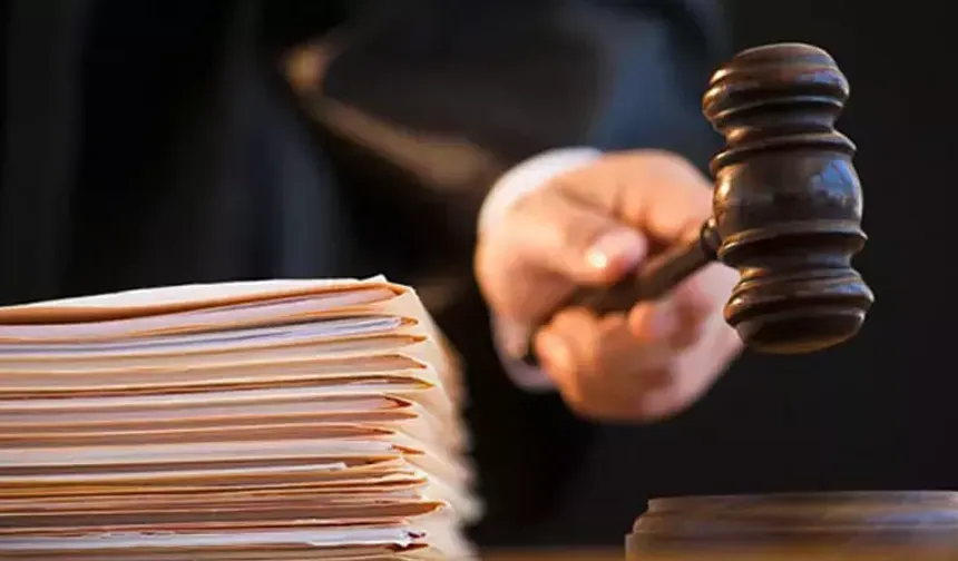 Leman davasında karikatürist Pehlevan’a tahliye