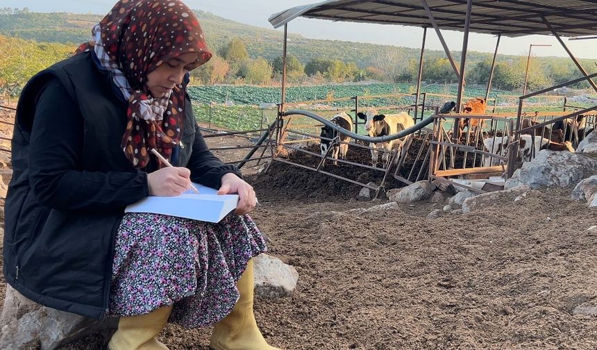 3 Çocuk Annesinin Azmi: Hayvancılıkla Uğraşırken Çocukların İlk Öğretmeni Oldu