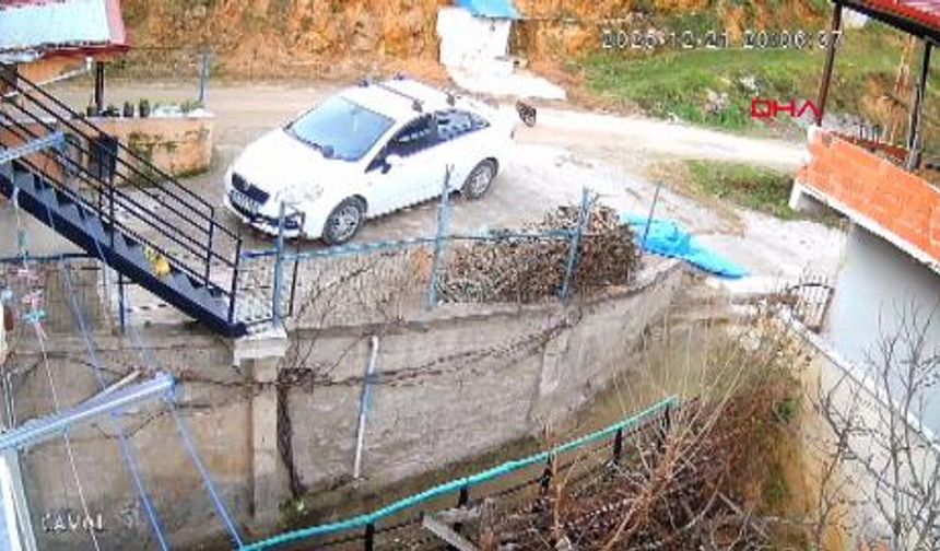 Ordu’da sokak köpeklerinin saldırdığı karaca öldü