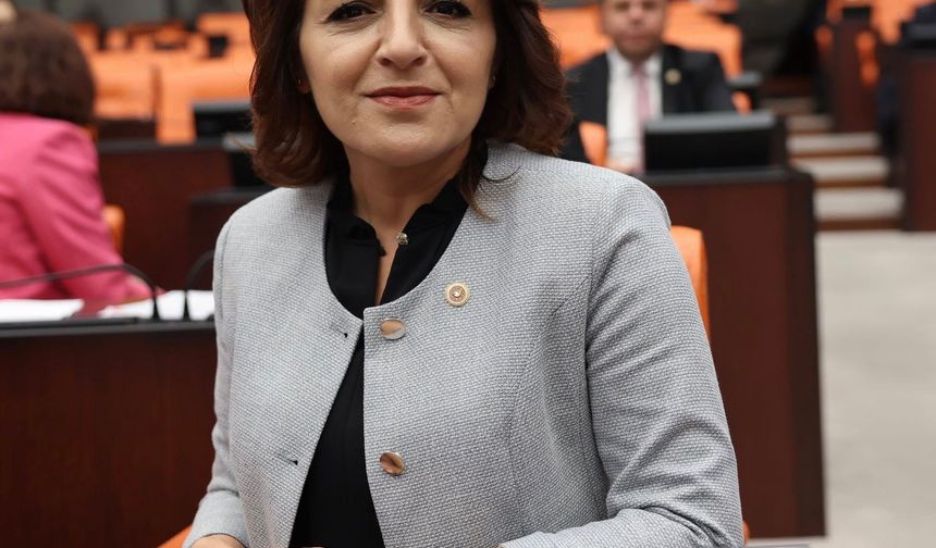 CHP’li Kış’tan Meclis’te Kuraklık Uyarısı: "Türkiye Su Yönetimi Krizi İçinde"