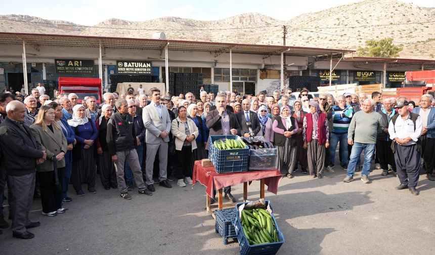 Salatalık Üreticisi İsyanda: “Artık Dayanacak Gücümüz Kalmadı”