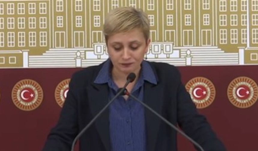 DEM Partili Perihan Koca'dan TBMM'de 11. Yargı Paketi Eleştirisi