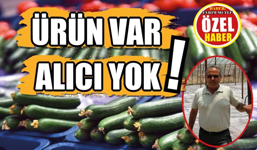 Üretim rekor kırdı fakat alıcı yok: Bölge çiftçisi çözüm bekliyor