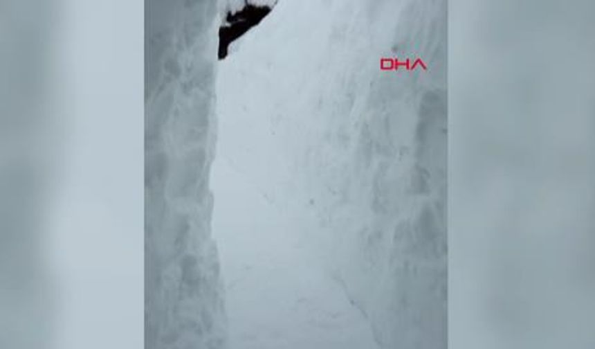 2 Metrelik Karla Mücadele: Ev ile Ahır Arasında Tünel Açtı