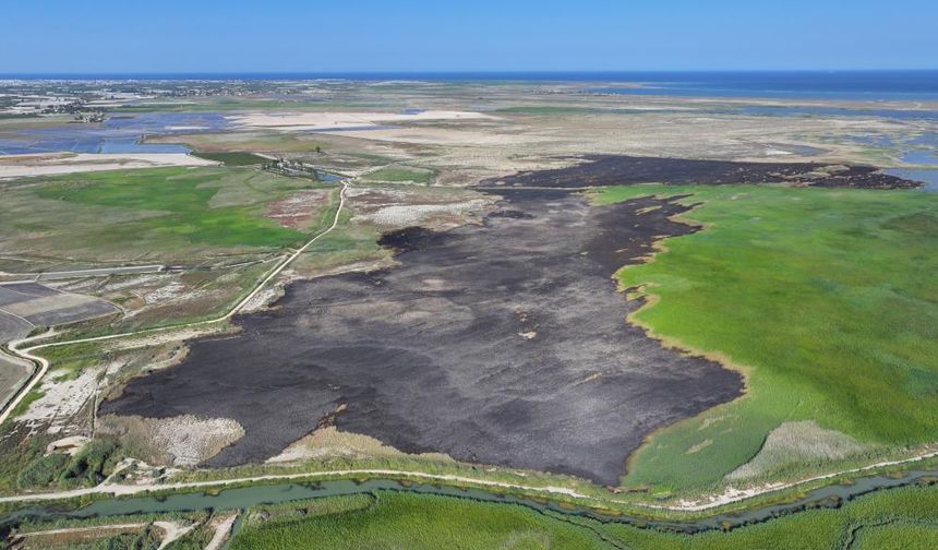 Prof. Dr. Halil Kumbur’dan Uyarı: "Türkiye Su Fakiri Olma Yolunda"
