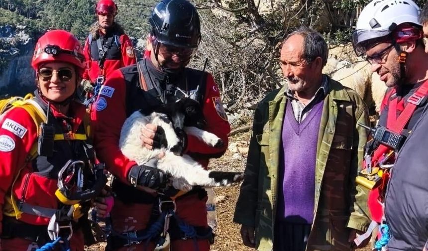 Mersin’de Yürekleri Isıtan Kurtarma: Kuzu Annesine Kavuştu