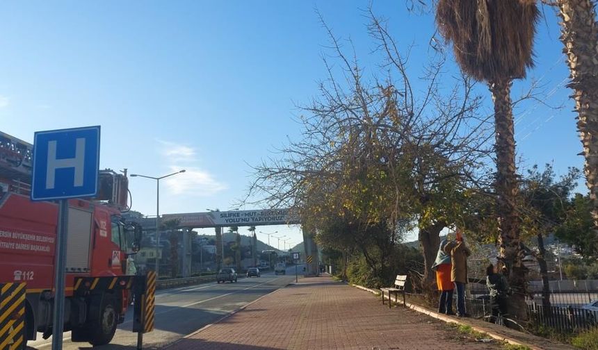 Doktorlar Fark Etti, İtfaiye Kurtardı: Silifke’de Yürekleri Isıtan Anlar