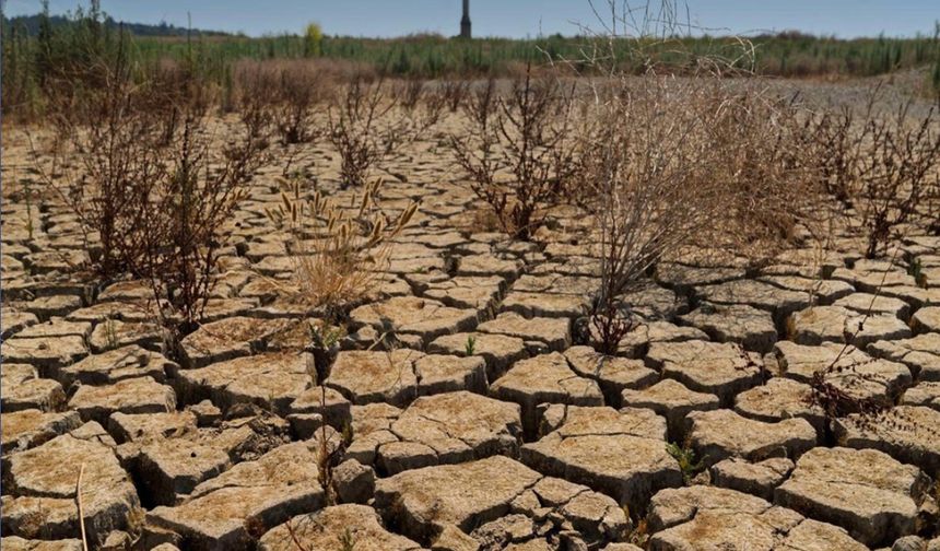 Yağışlar Yetersiz Kaldı, Barajlar Beslenemedi
