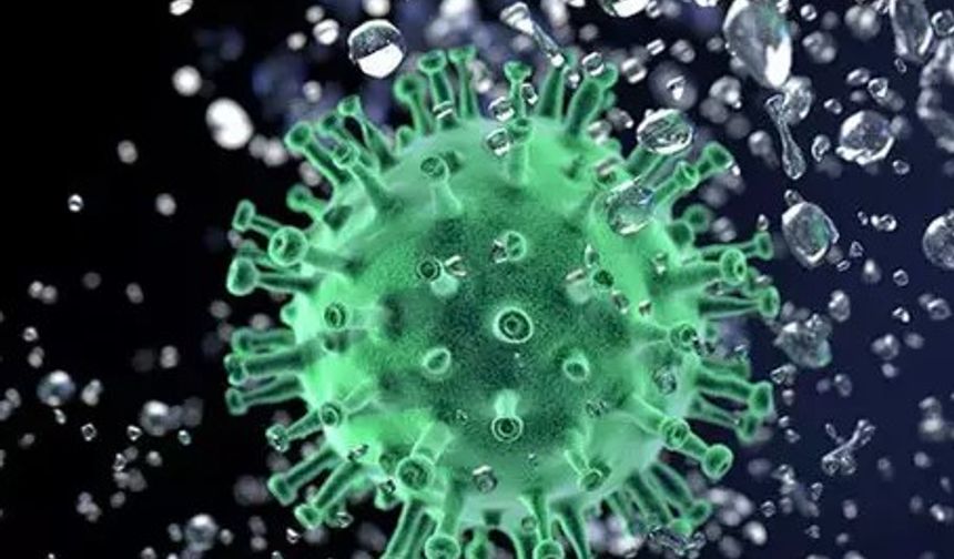 Uzmanından Uyarı: Nipah Virüsü'nün Aşı veya Tedavisi Yok