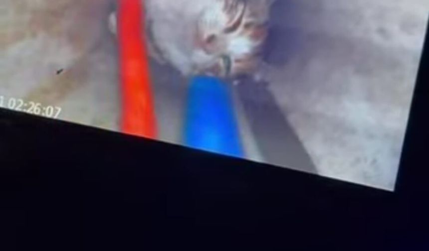 Kuyuya düşen yavru kedi, 2 saatlik çalışmayla kurtarıldı