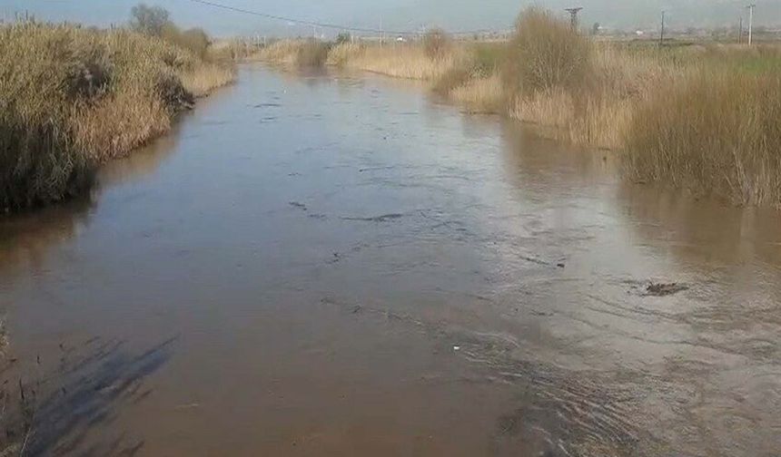 Aydın’da Sağanak Sonrası Büyük Menderes Taştı