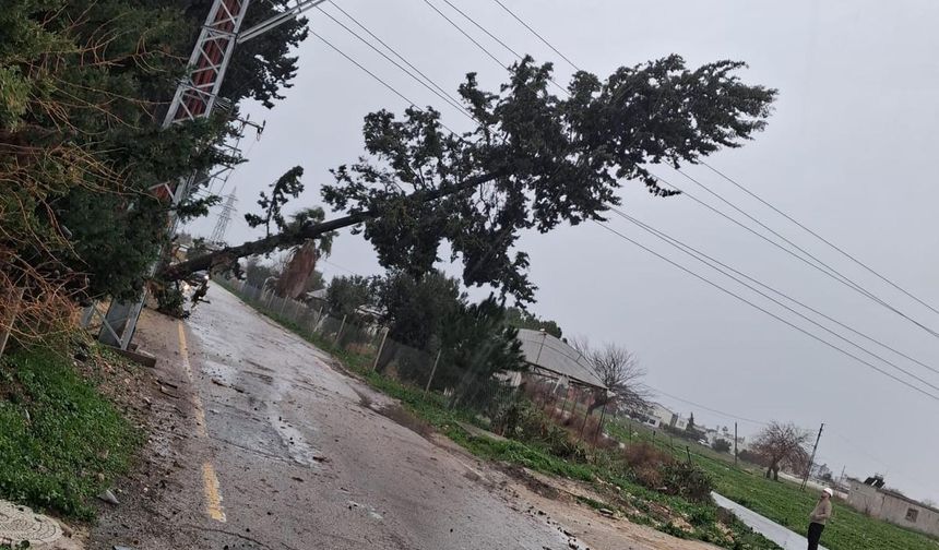 Toroslar EDAŞ’tan Fırtına Mesaisi: Hasarlı Hatlar Onarılıyor0