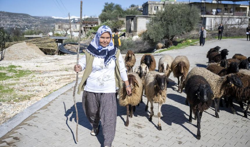 Büyükşehir’in projesinde kuzular arttıkça üreticinin yüzü gülüyor