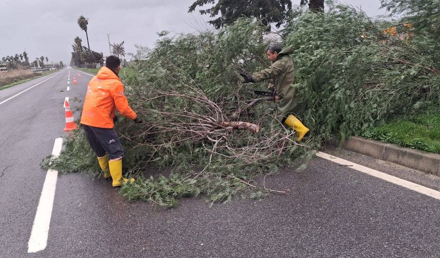 Mersin’de Sabah Saatlerinde Etkili Olan Fırtına Hayatı Olumsuz Etkiledi