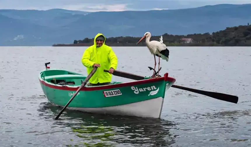 Yaren Leylek bu yıl erken geldi