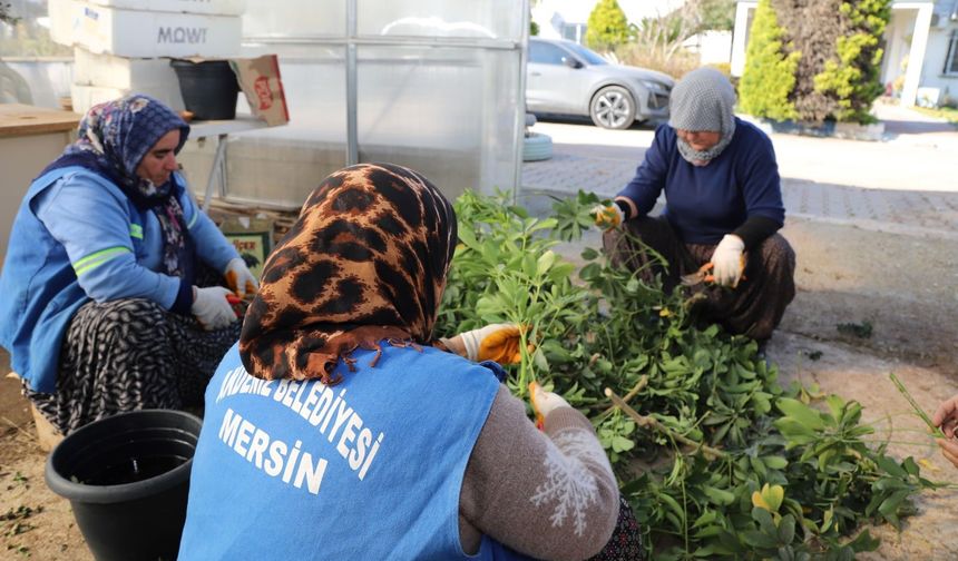 Mersin Akdeniz'de Seralarda Bitki Üretimini Arttırdı