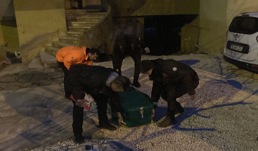 Kavga İhbarına Giden Polis, Cansız Beden  Buldu