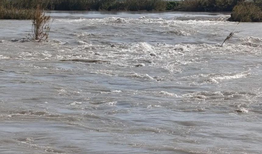 Seyhan Nehri taştı, tarlalar sular altında kaldı