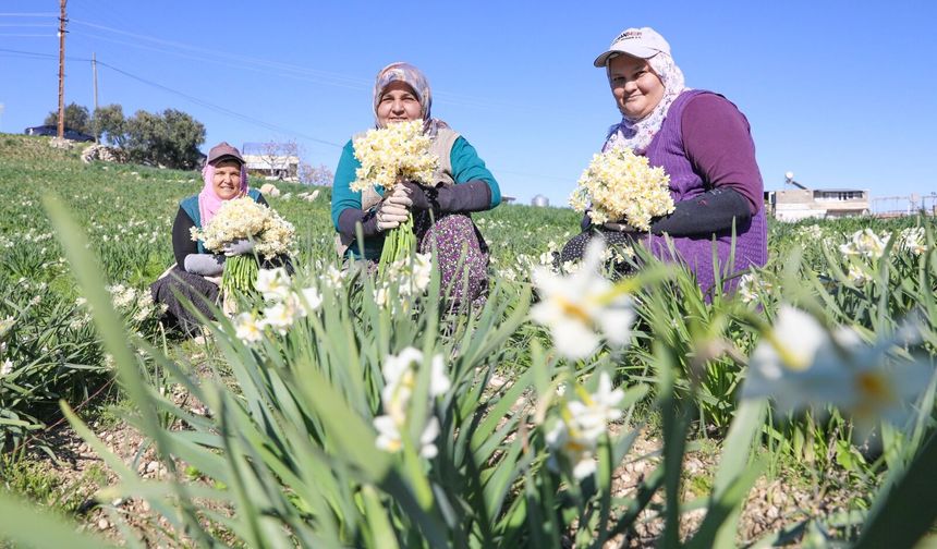 Nergis Projesi kırsal kalkınmaya destek oluyor