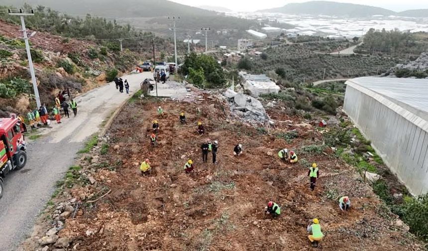 Bozyazı’nda Kaçak Yapılar Kaldırıldı, Alan Ağaçlandırılıyor