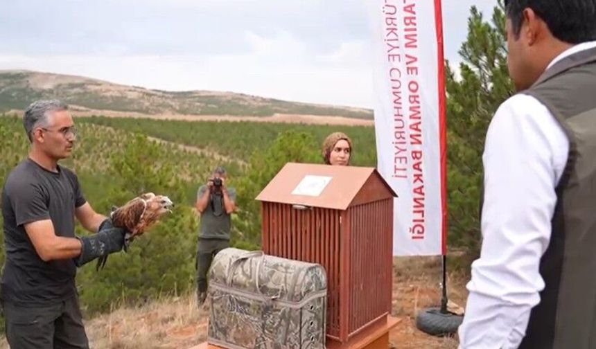 58 bin 22 yaban hayvanı tedavi edilerek doğaya salındı