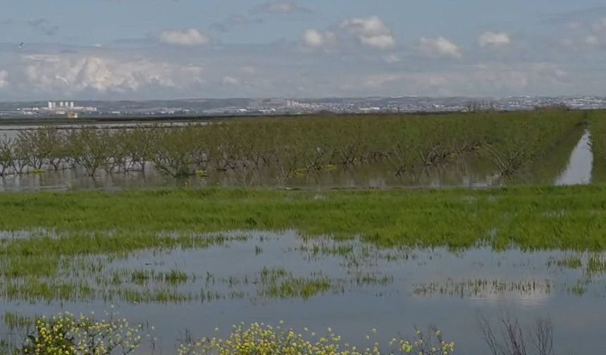 Adana’da tarım arazileri su altında kaldı