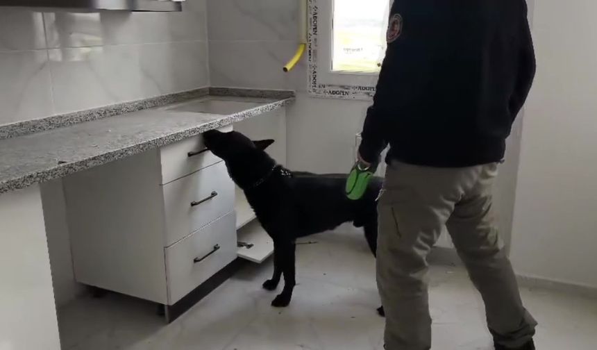 72 bin extacy yakalattılar "bizim değil" dediler