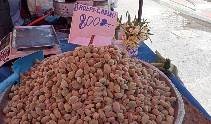 Sezonun ilk çağlaları tezgahlarda