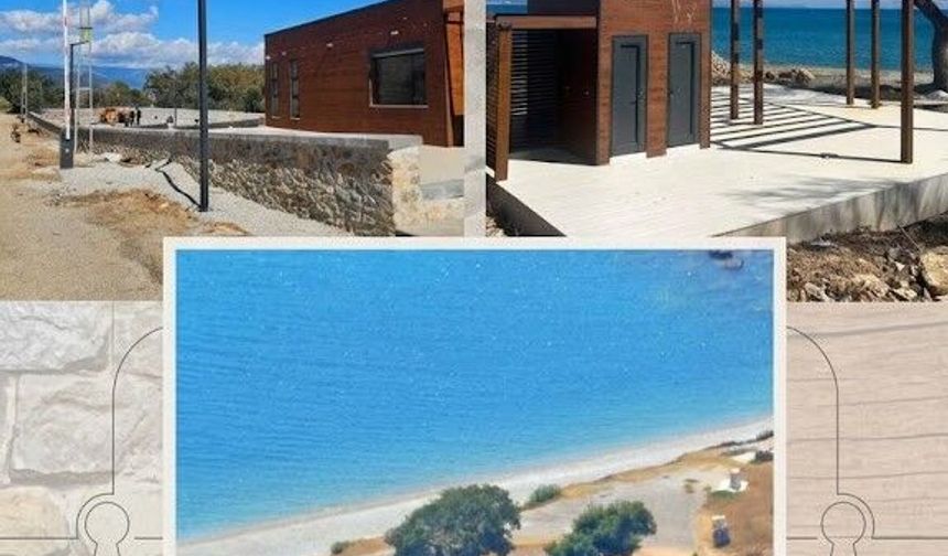 Anemurium’a betonu doğal görünsün diye kahverengiye boyandı