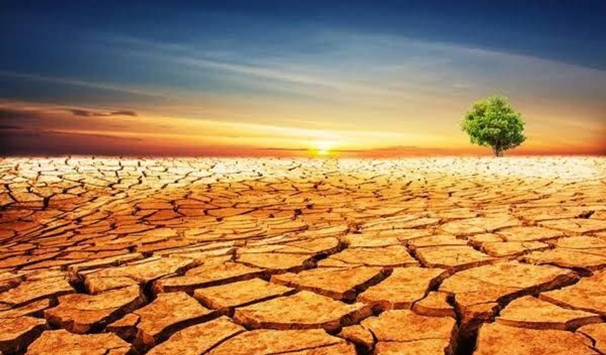 DAÇE ve Mersin Çevre Platformu’ndan acil çağrı