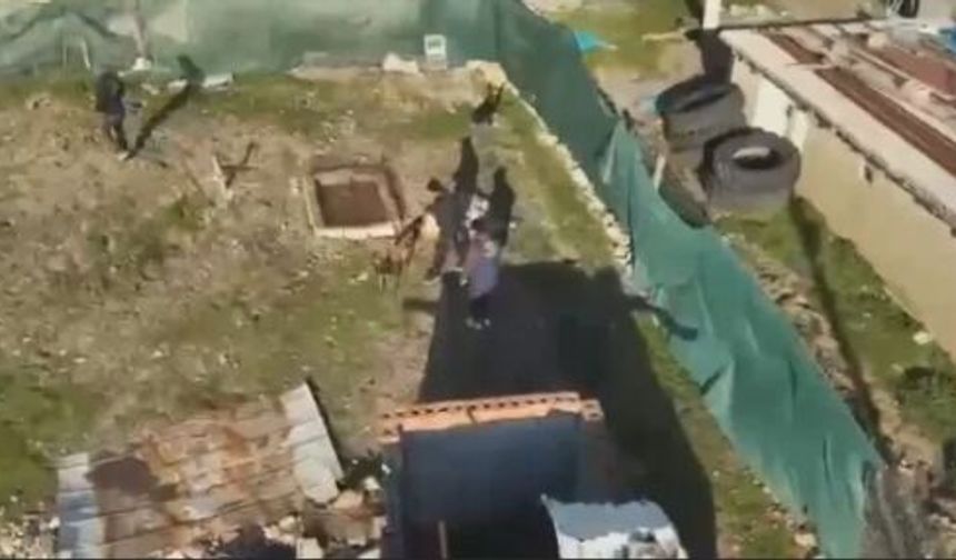 Akraba Cinayeti Sigara İzmaritindeki DNA ile Çözüldü