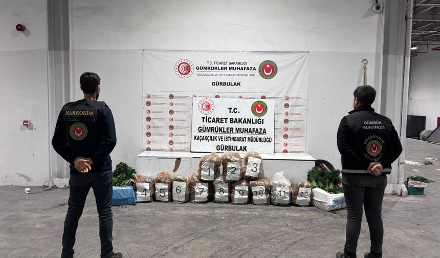 Gümrüklerde 828 milyon liralık uyuşturucu ele geçirildi