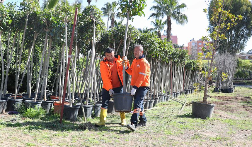 Mersin Büyükşehir’den ‘ağaçlandırma kampanyası’