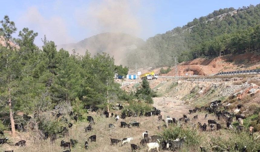 Aydıncık'ta çevreciler kazandı