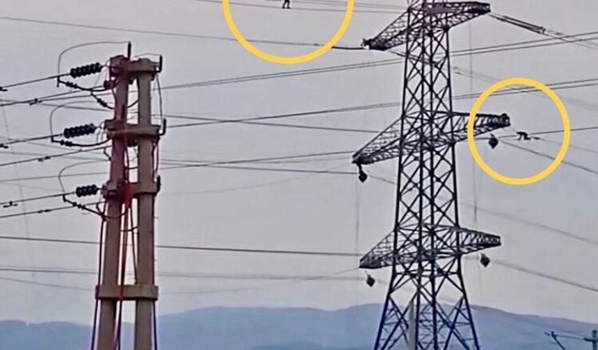 Yüksek gerilimde "İp cambazı" mesaisi