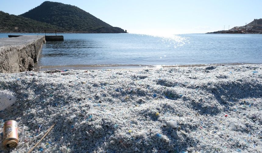 Yeşilovacık sahilinde görülmemiş çevre katliamı