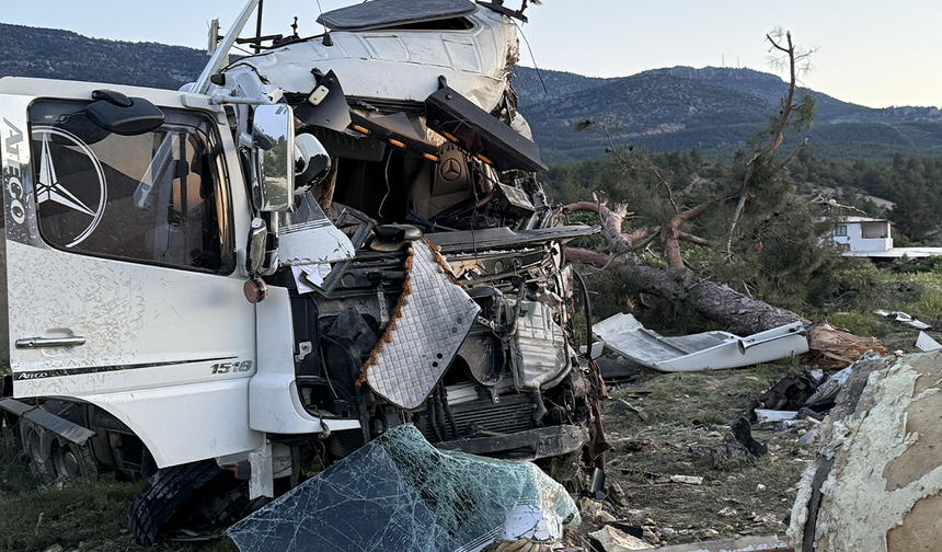 Freni boşalan sebze yüklü TIR ağaca çarparak durabildi