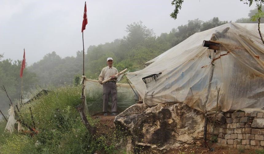 İnsanlara güveneni kaybetti: 12 yıldır dağda yaşıyor