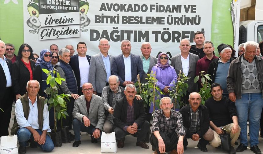 Anamur’da üreticiye destek: Avokado fidanı dağıtıldı