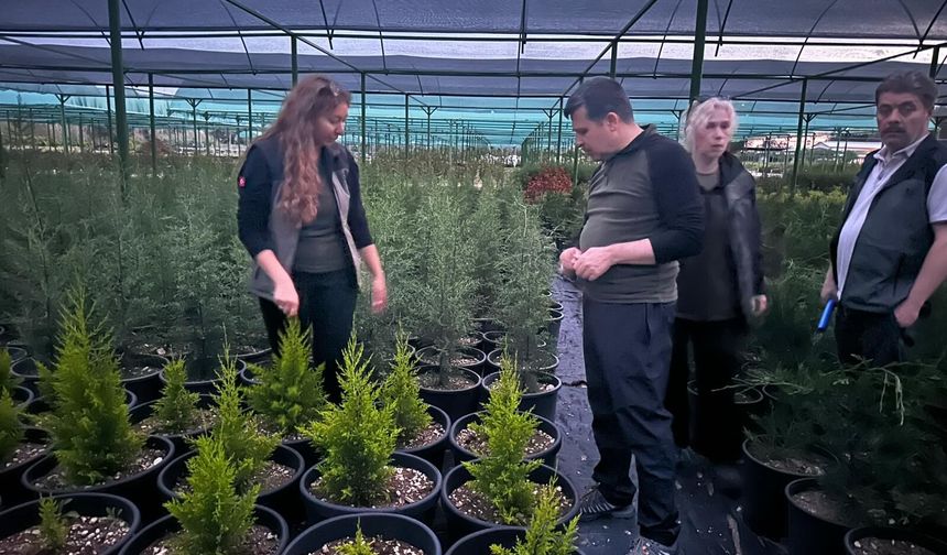 Fidan üretimi Mersin’de mercek altında