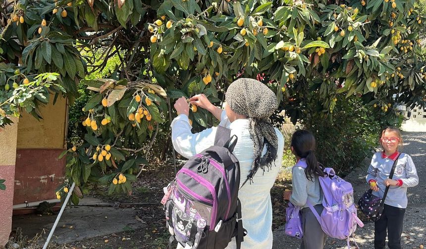 Talep azalınca bedava dağıttı, poşetini alan bahçeye koştu