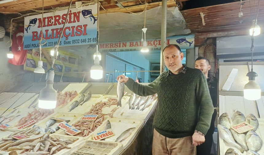 Mersin’de Balıkçılık: Tezgahlar canlı, tüketim düşüşte