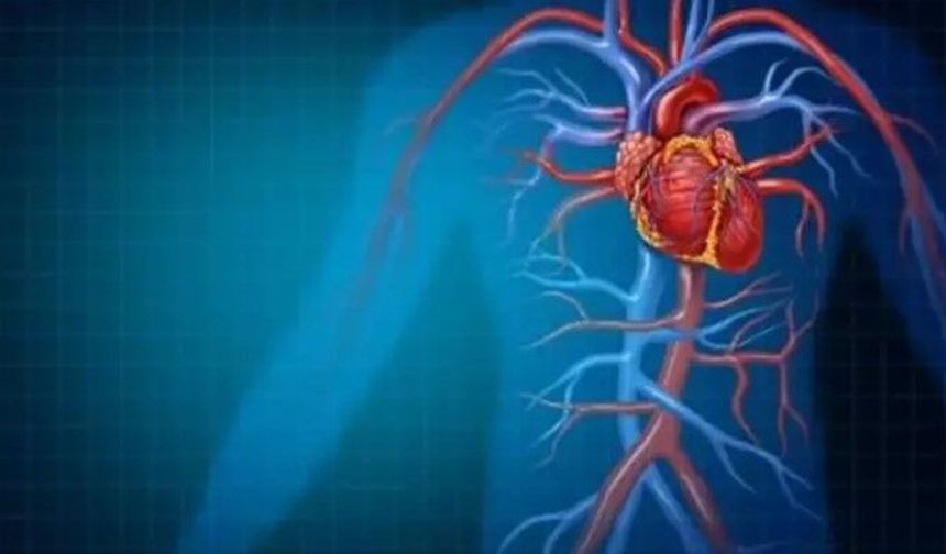 Uzmanından uyarı: "30 yaşından sonra kolesterol düzeyine baktırılmalı"