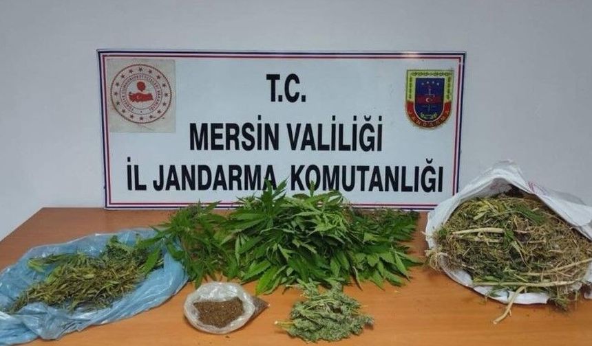 Tarsus'ta jandarmadan uyuşturucu operasyonu
